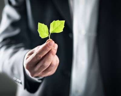 Green business: The tax benefits of sustainability